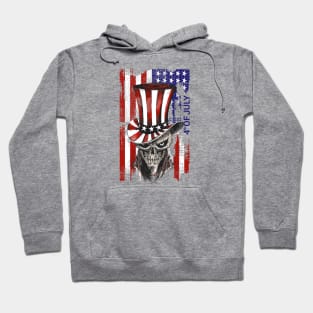 4 of july, independence day Hoodie